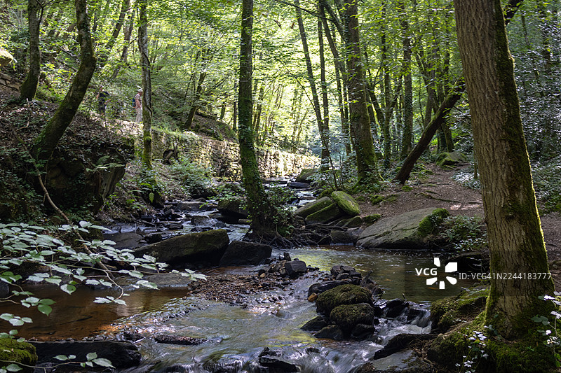阳光透过茂密的绿树洒在充满活力的森林中的岩石溪流上，远处有人在徒步旅行图片素材