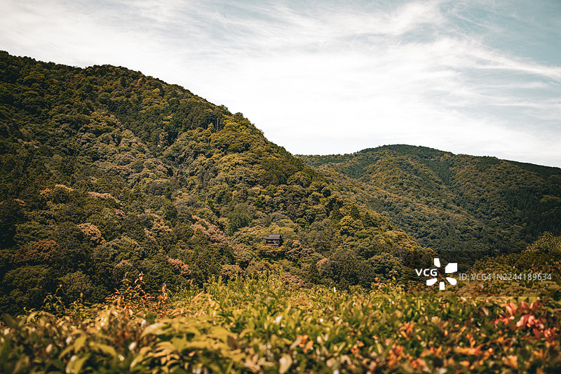 郁金（日本）郁郁葱葱的绿色山峦和多云的天空构成了一片宁静而风景优美的自然景观。图片素材