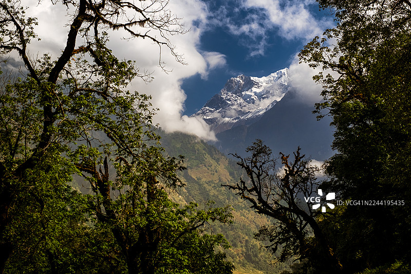 安纳布尔纳峰，尼泊尔。雄伟的雪山峰顶，翠绿的树木和戏剧性的云彩衬托着蓝天。图片素材