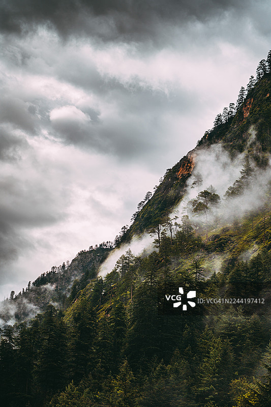 从低角度仰望一座雄伟的山脉，山坡上覆盖着茂密的树木，笼罩在薄雾中，天空戏剧般地变化着，地点为印度卡索尔山脉的马尼卡兰。图片素材