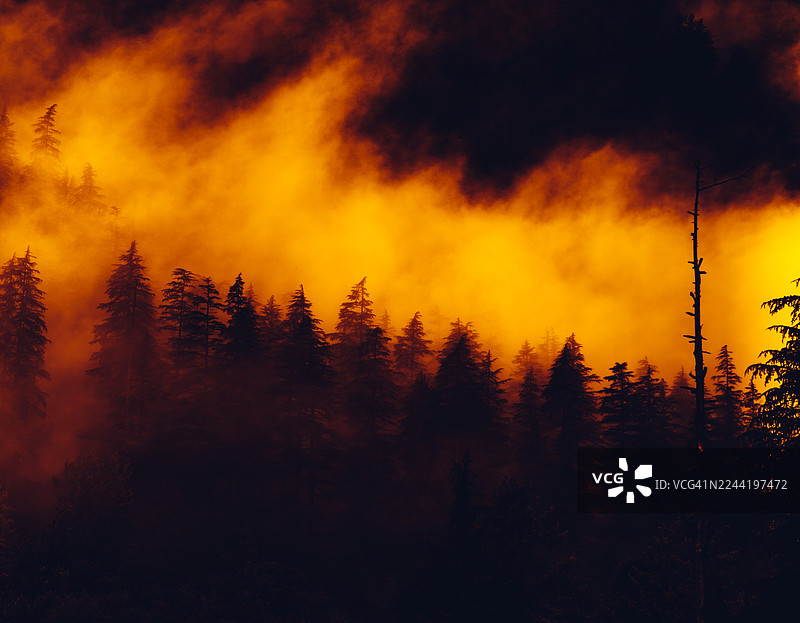 日落时分，生机勃勃的橙黄天空映衬着戏剧性的森林剪影，头顶是厚重的乌云，背景为印度马尼卡兰的卡索尔山。图片素材