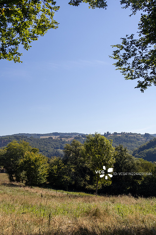 法国康塔尔乡村晴日，绿意盎然的树木和一望无际的田野在蔚蓝的天空下图片素材