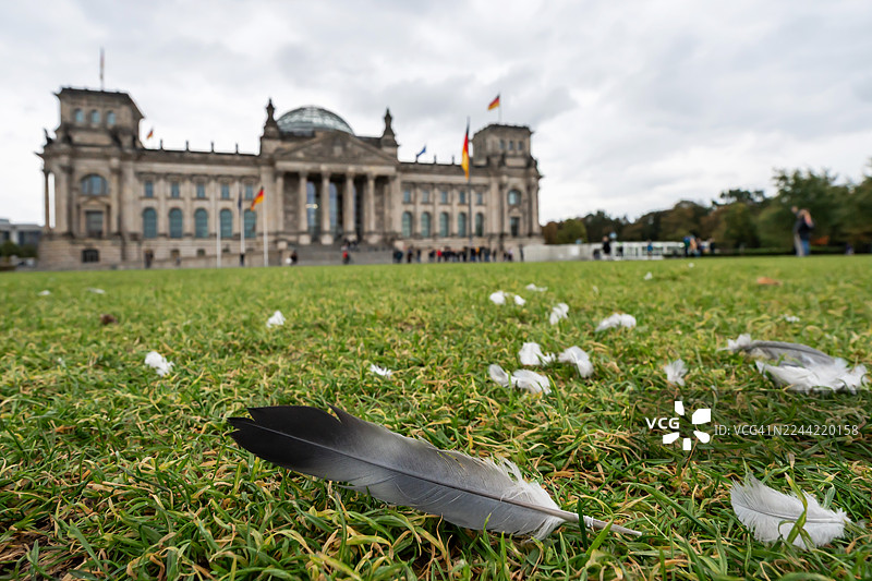 德国首都柏林，德国联邦议院（德国议会大楼）前草地上的鸟羽图片素材