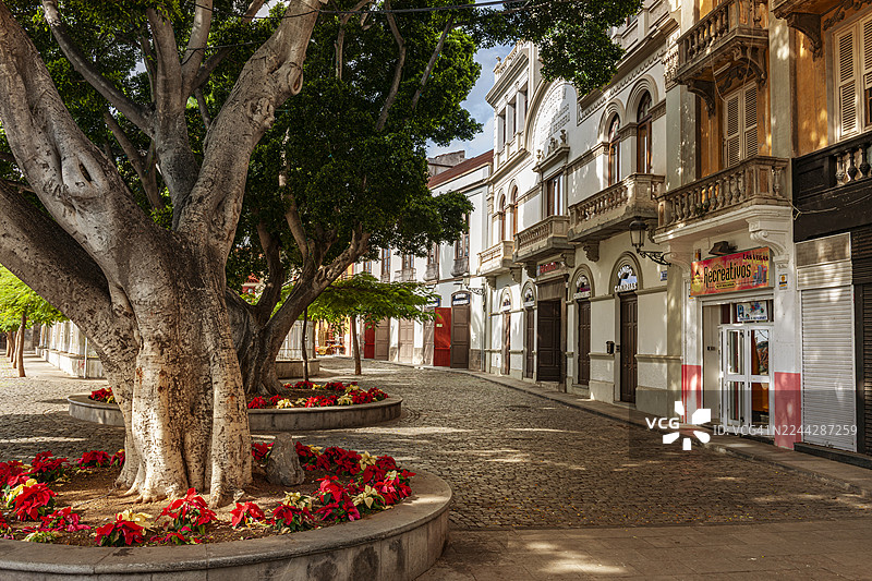 加那利群岛，圣克鲁斯-德特内里费图片素材