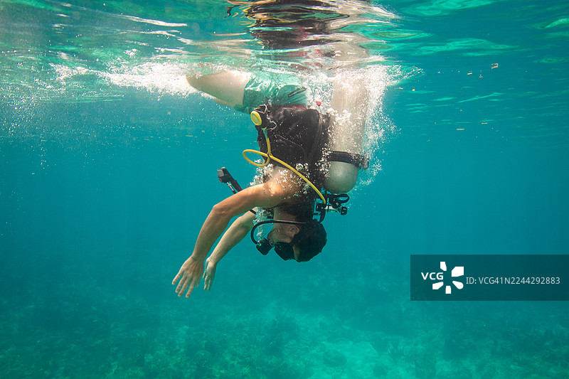 一名穿着泳裤的潜水员倒立着从侧面进入水中，洪都拉斯罗阿坦岛图片素材