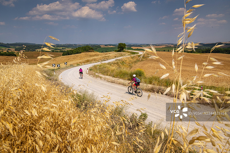 托斯卡纳，卡斯泰尔努奥沃-贝拉尔登加的砂石路图片素材