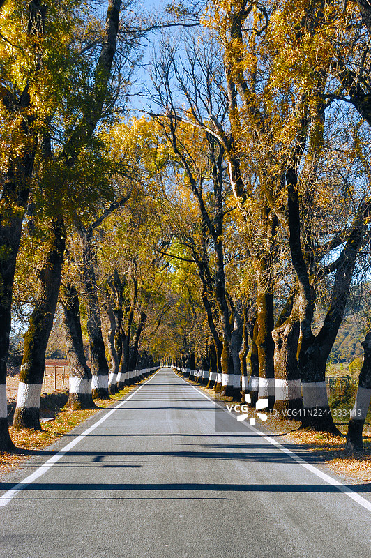 葡萄牙 - 马尔旺图片素材