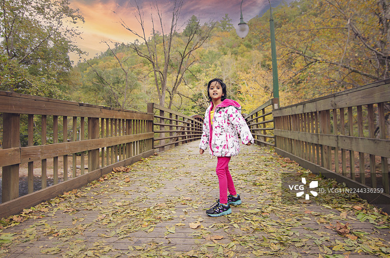 充满活力的年轻女孩走在秋天的桥上，周围散落着落叶。孩子穿着色彩鲜艳的秋季夹克探索大自然。童年、探险、秋天、活力、森林、乐趣。图片素材