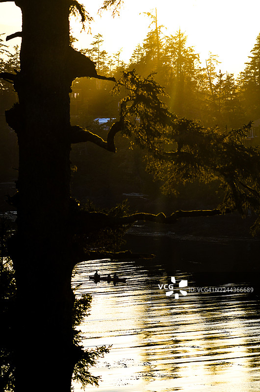 日落余晖图片素材