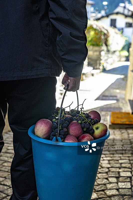 农民提着一桶苹果，瓦尔泰利纳图片素材