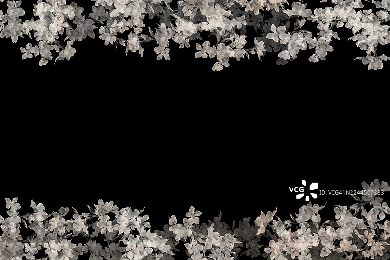 抽象水彩画，描绘了黑白花卉和叶子的花边。图片素材