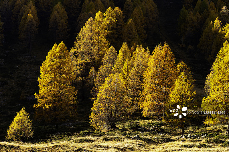 利维尼奥的秋天图片素材