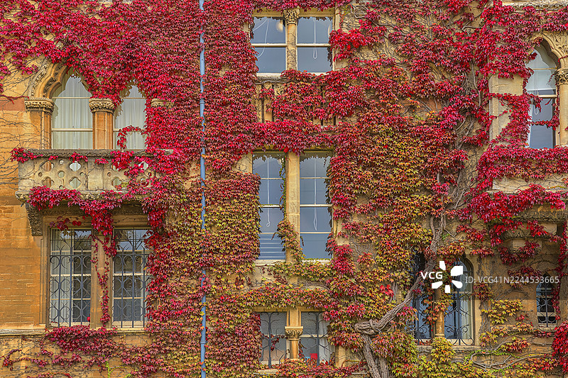 英国牛津郡牛津基督教堂学院的布罗德沃克图片素材