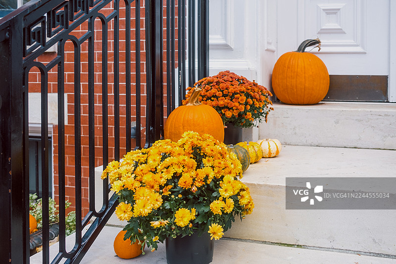 南瓜和盆栽菊花装饰着房子的前入口图片素材