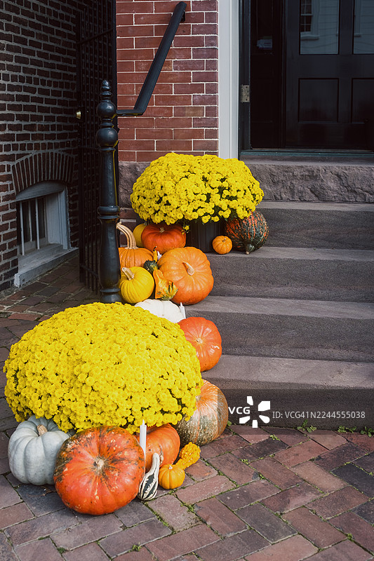 南瓜和盆栽菊花装饰着房子的前入口图片素材