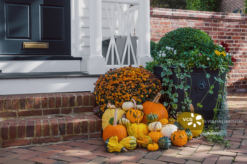 南瓜和盆栽菊花装饰房屋前入口图片素材