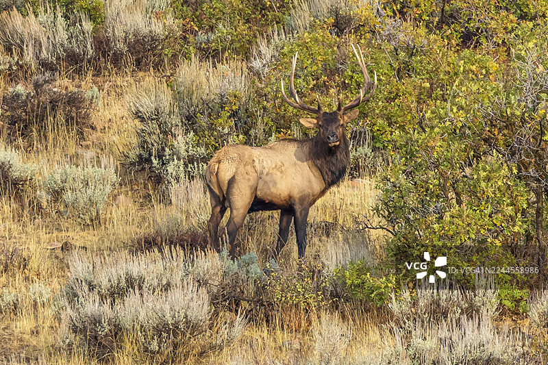 回头看图片素材