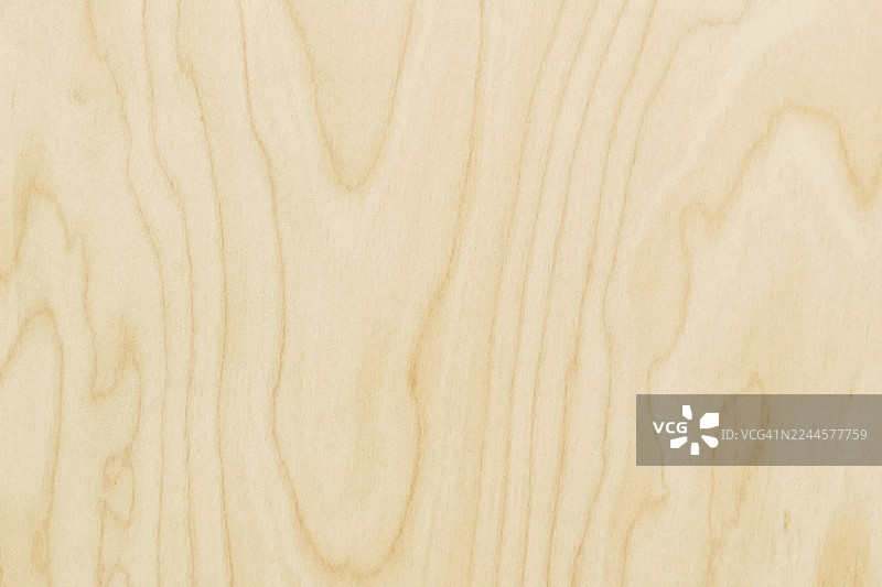 干净的浅色胶合板纹理图片素材