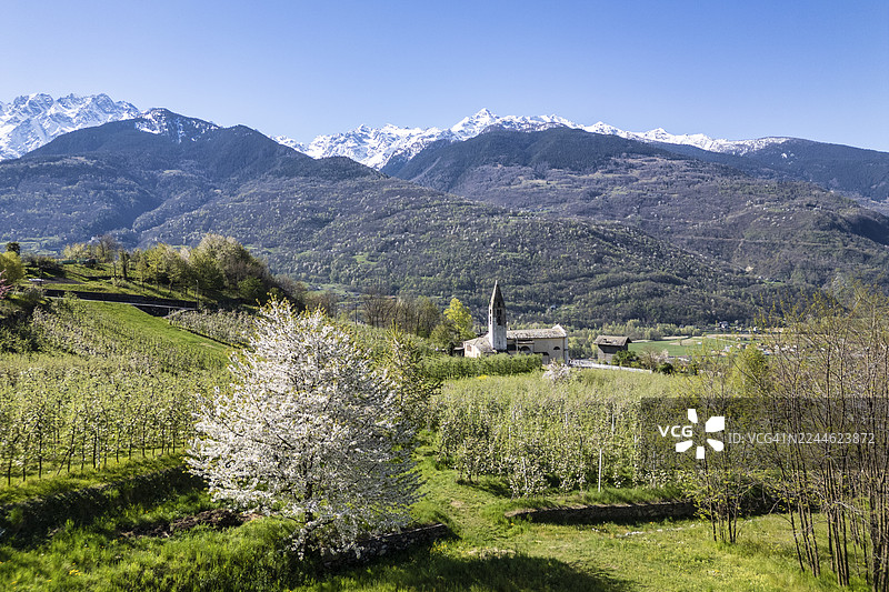 意大利瓦尔泰利纳的春天图片素材