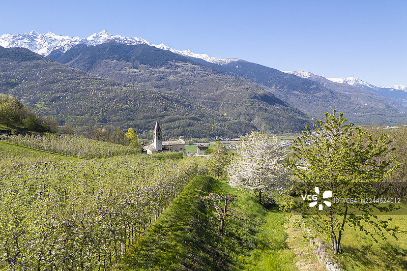 意大利瓦尔泰利纳的春天图片素材