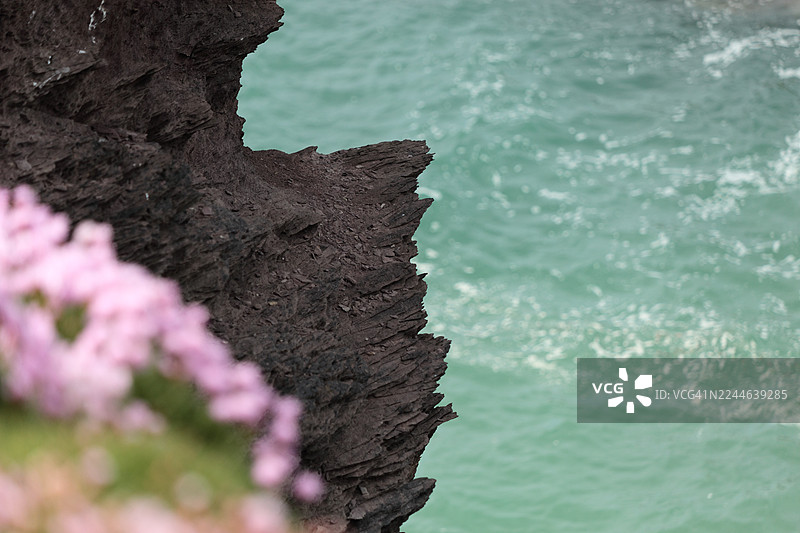 波尔泽斯海滩的紫色板岩悬崖图片素材