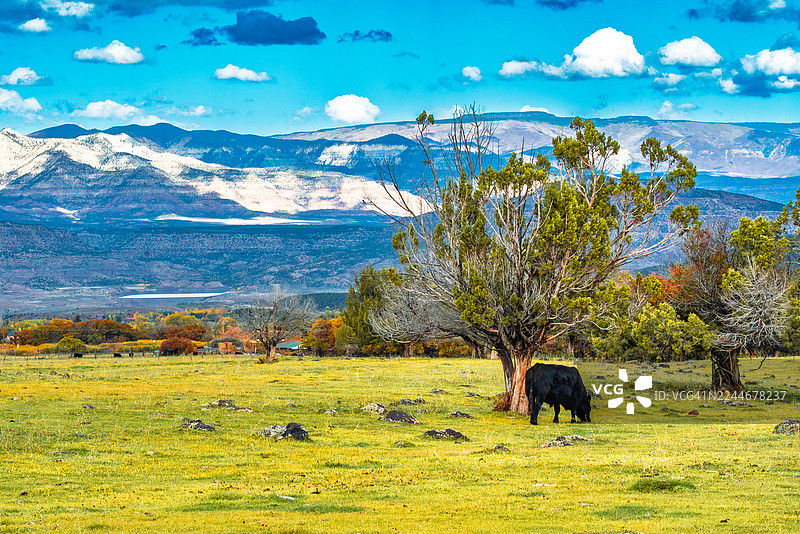 光明的信徒图片素材