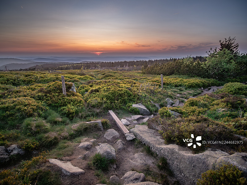 法国阿尔萨斯上莱茵省奥尔贝，孚日山脉塔内-加宗杜芳自然保护区，日落时分的广角景色，前景是植物、阿米尔托石楠和花岗岩石。图片素材