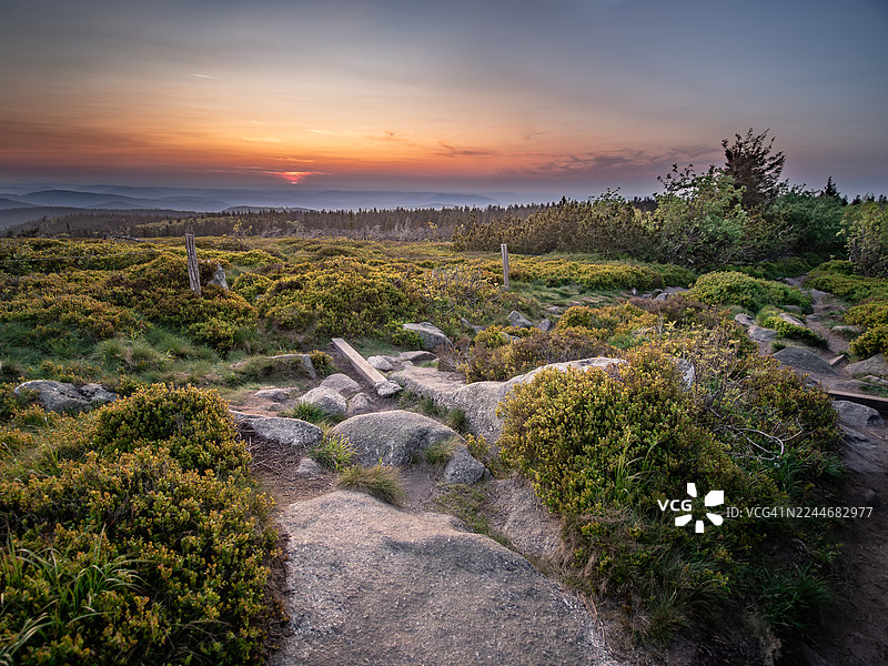 法国阿尔萨斯上莱茵省奥尔贝，孚日山脉塔内-加宗杜芳自然保护区，广角镜头下，夕阳沉落于山脊之后，前景为阿尔米尔托石楠和岩石。图片素材