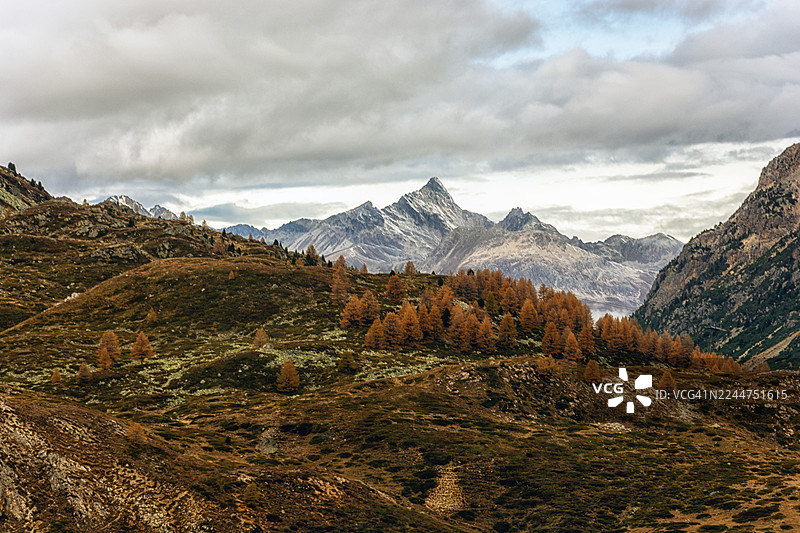 瑞士比尔尼纳·迪亚沃莱扎图片素材