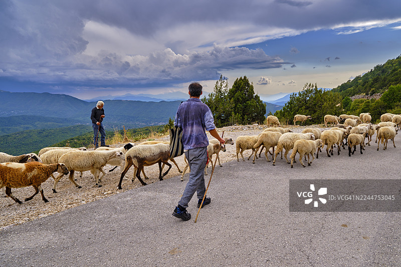 希腊，伊庇鲁斯，扎戈里，维科斯-阿奥斯国家公园，牧羊人与他的羊群图片素材