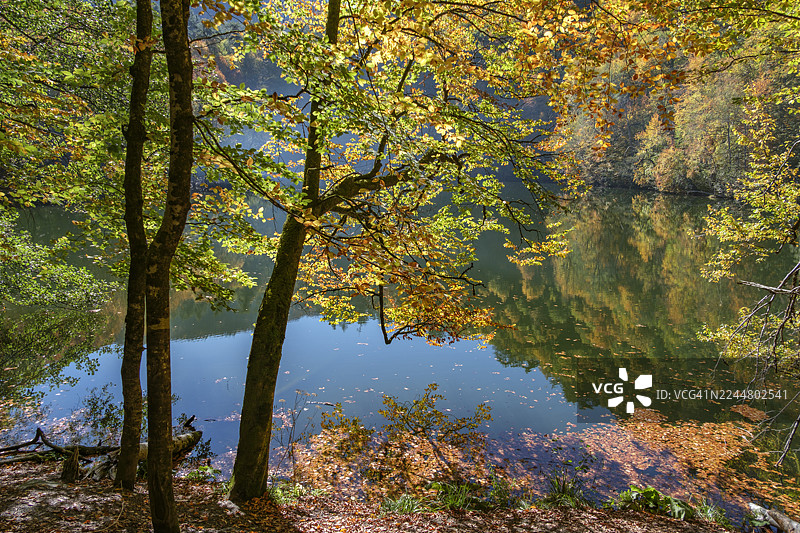 土耳其博卢耶迪格勒国家公园的金色倒影图片素材