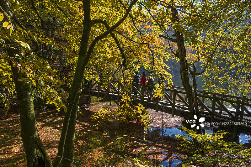 土耳其博卢耶迪格勒国家公园的金色倒影图片素材