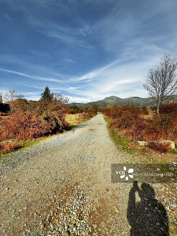 被红叶灌木丛环绕的泥土路。图片素材