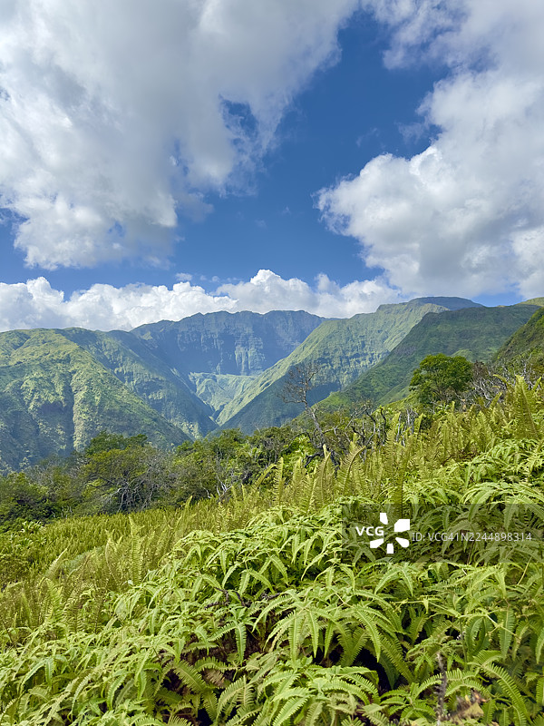 毛伊岛公路旅行图片素材