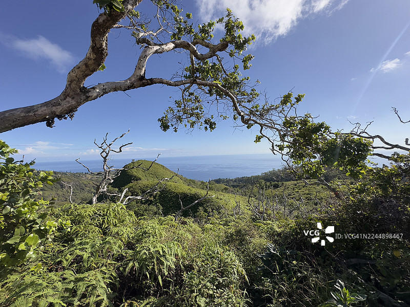 毛伊岛公路旅行图片素材