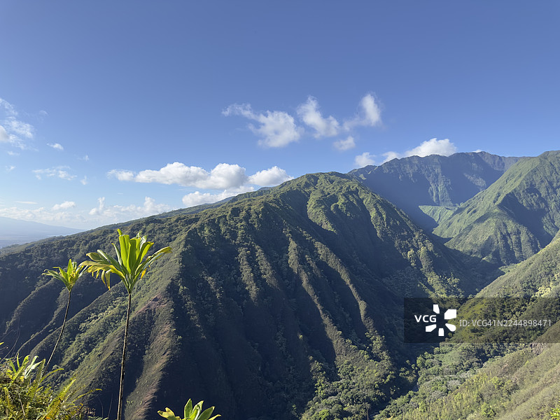 茂宜岛公路旅行图片素材