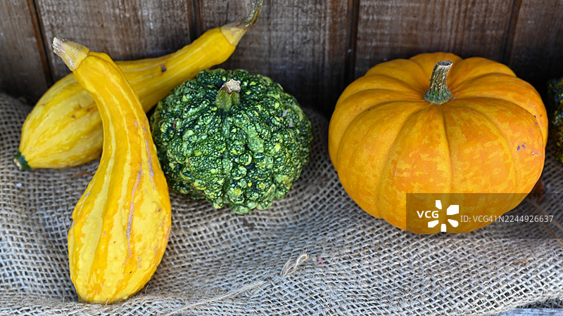 葫芦和南瓜，苏格兰福查贝斯。图片素材