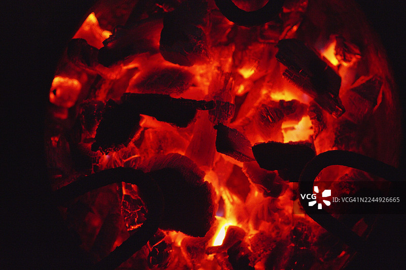 树上悬挂着不寻常的花园装饰品图片素材