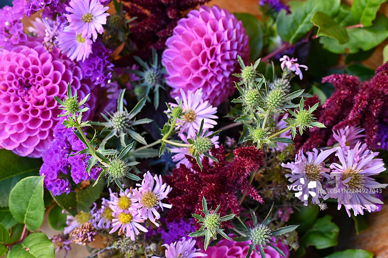 苏格兰福查贝斯秋季花束图片素材