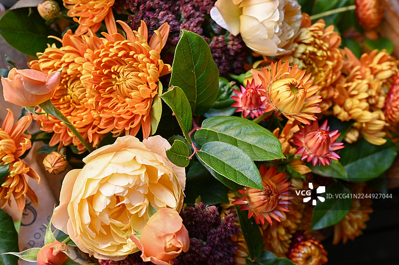 苏格兰福查贝斯秋季干花展示图片素材