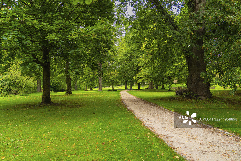 一条宁静的小径穿过公园绿地,两旁是高大古老的树木,位于德国路德维希堡区,茨魏弗尔滕(ZFP Zwiefalten)图片素材