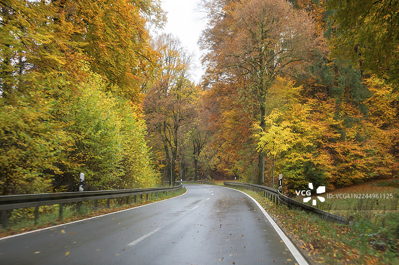 德国巴伐利亚州上弗兰肯地区弗兰克尼亚地区B2纽伦堡-拜罗伊特公路旁的秋色混交林图片素材