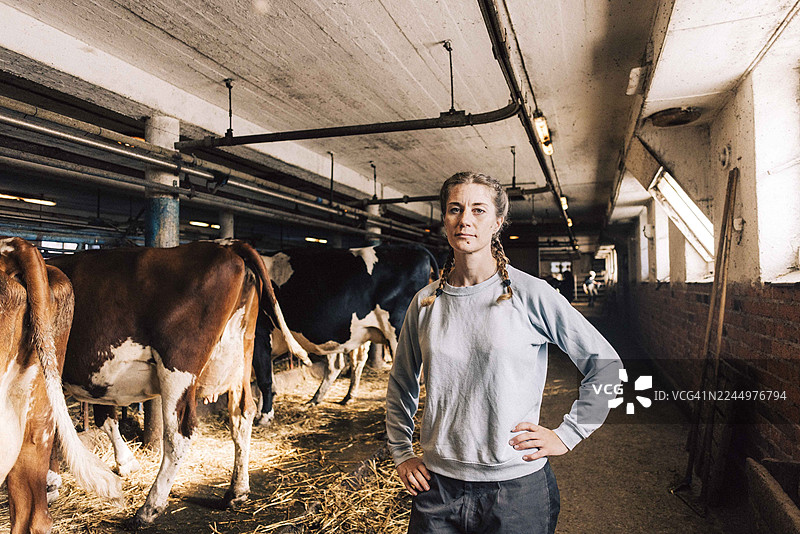 自信的女畜牧工作者，手叉在腰间，站在谷仓内图片素材