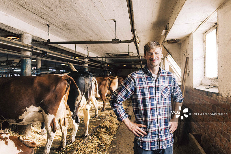 农场主微笑地站在谷仓内，双手叉腰，拍摄肖像照图片素材