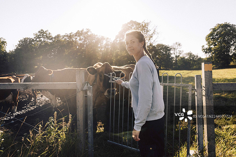 农场侧面肖像：农夫在农场工作时为牛打开栅栏门图片素材