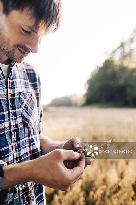 穿着格子衬衫的农民正在农场检查小麦作物图片素材