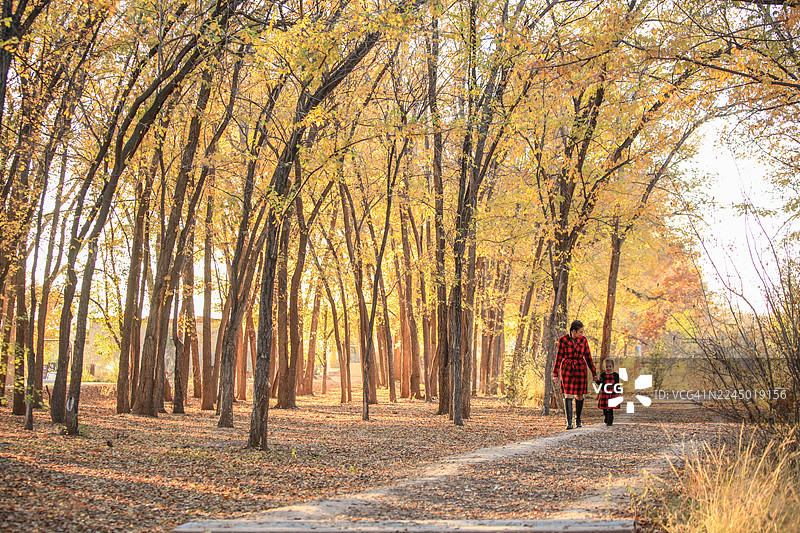 母亲与年幼的女儿在森林中散步图片素材