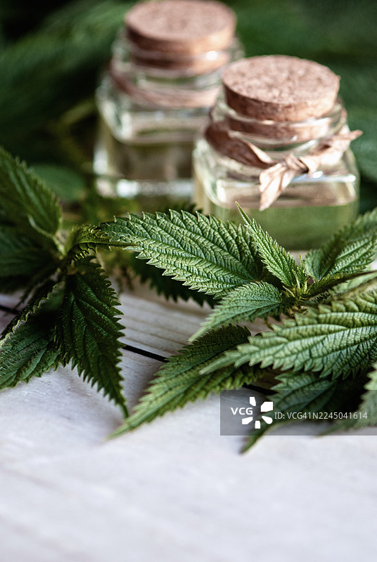 质朴木桌上新鲜荨麻叶的特写，旁边放着两小瓶精油，彰显自然健康与养生图片素材