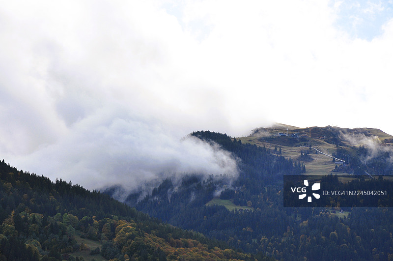 茂密的森林笼罩在云雾缭绕的壮丽山景中，营造出宁静而神秘的自然景象图片素材