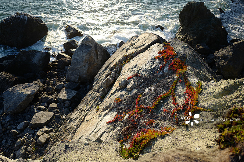 从高处俯瞰，海岸悬崖上布满了崎岖的岩石以及生机勃勃的红绿色植物，下方是拍打海岸的汹涌海浪。图片素材